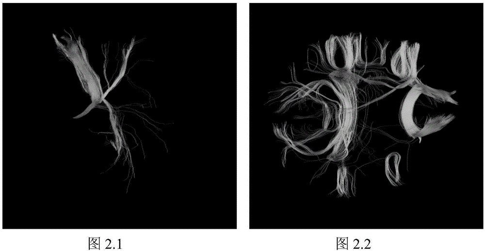 一种基于空间路径相似性的脑纤维聚类方法与流程