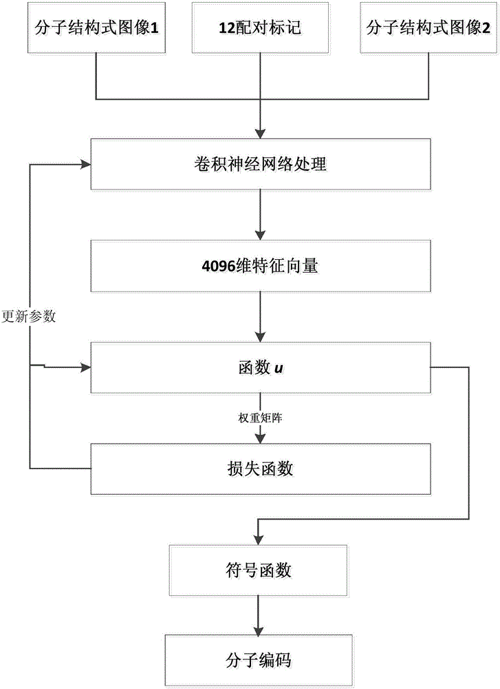 藥物篩選中基于深度哈希的配體分子指紋生成方法與流程