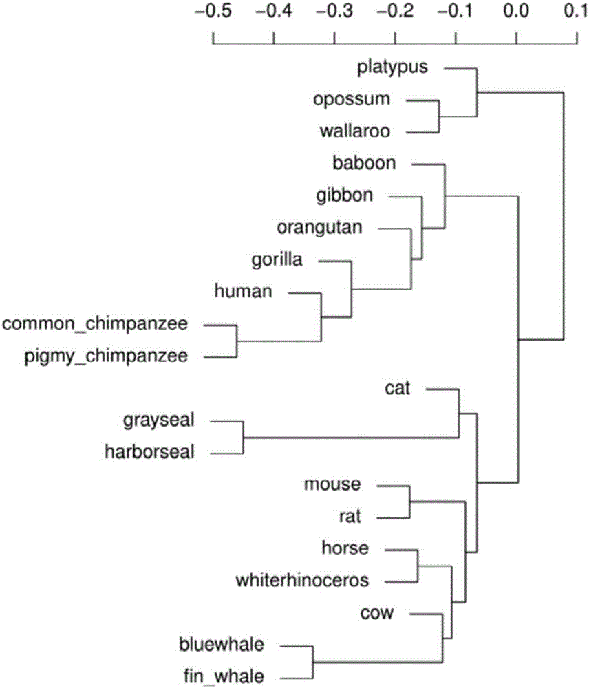 基于kendall相关系数的DNA序列相似性比对方法与流程