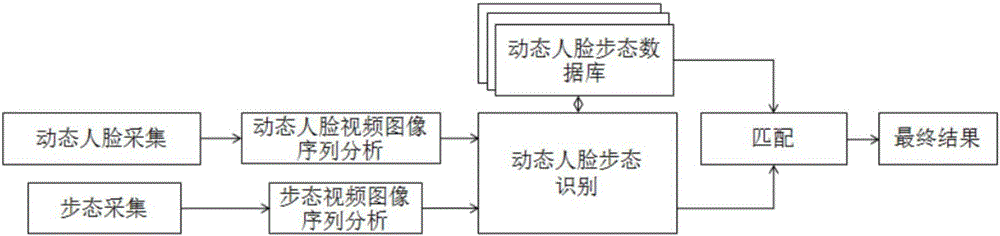 基于動(dòng)態(tài)人臉識(shí)別和步態(tài)識(shí)別融合的智能身份識(shí)別系統(tǒng)的制作方法與工藝