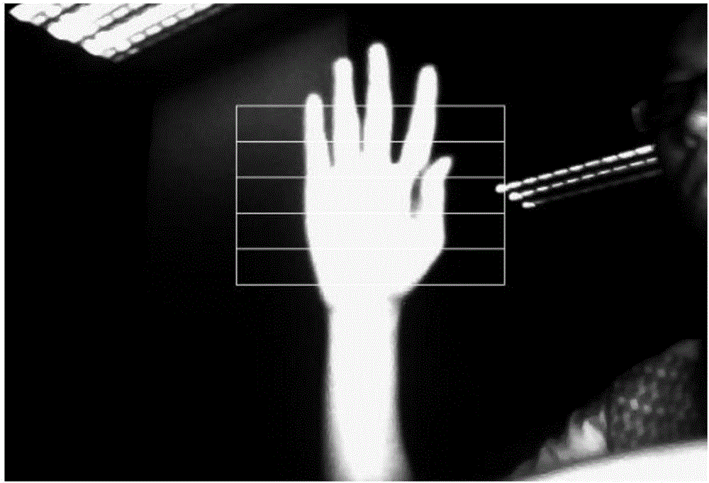 手势识别装置及识别方法与流程