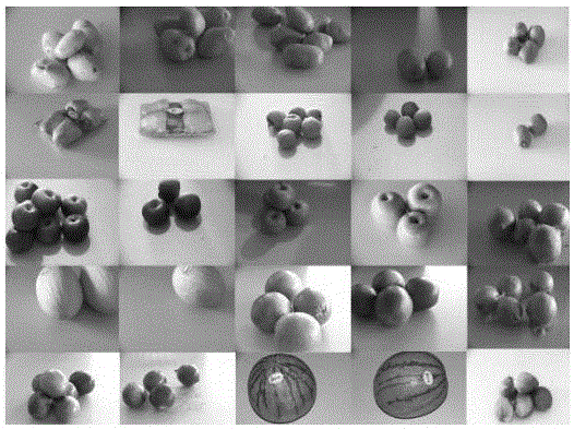 一种加入Dropout的卷积神经网络的果蔬图像识别方法与流程