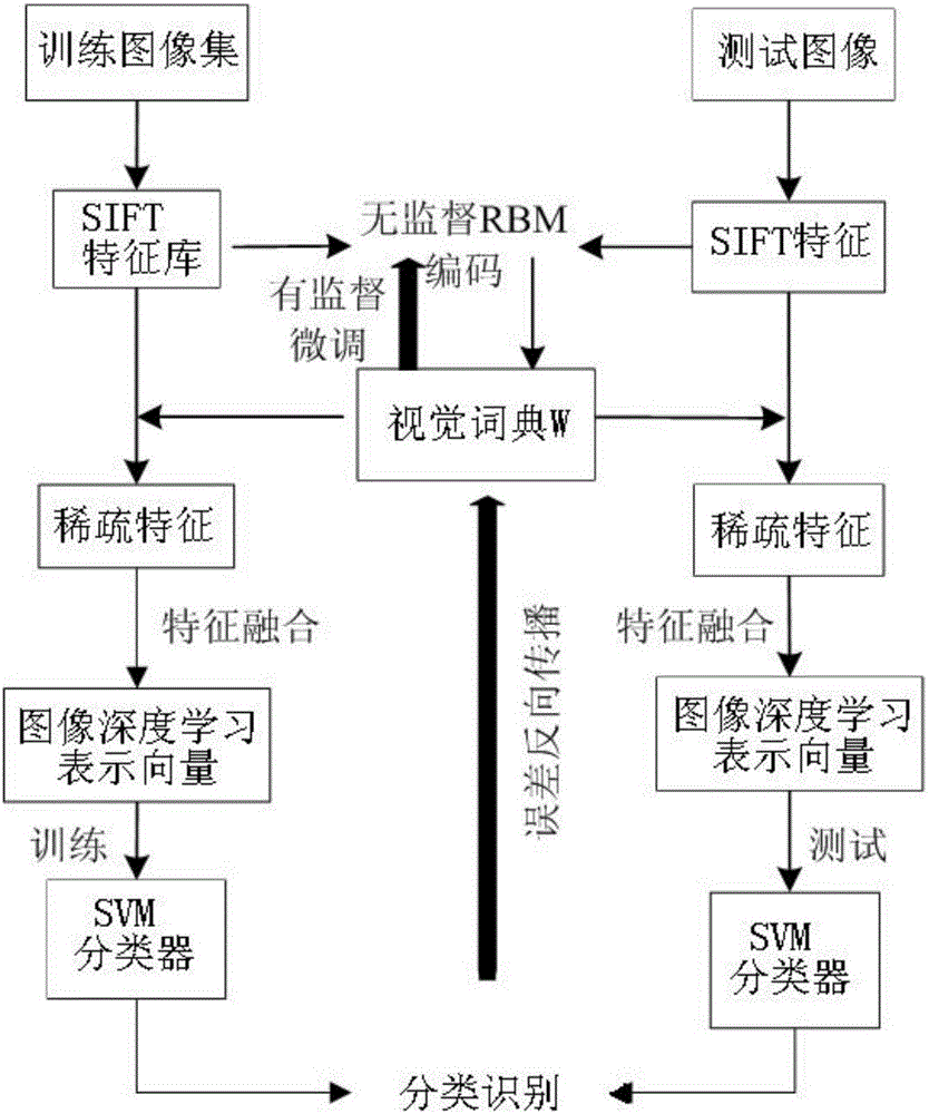 基于深度学习编码模型的人员再识别方法与流程