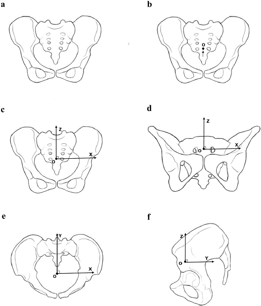 一种骨盆ct三维坐标体系的建立方法与流程
