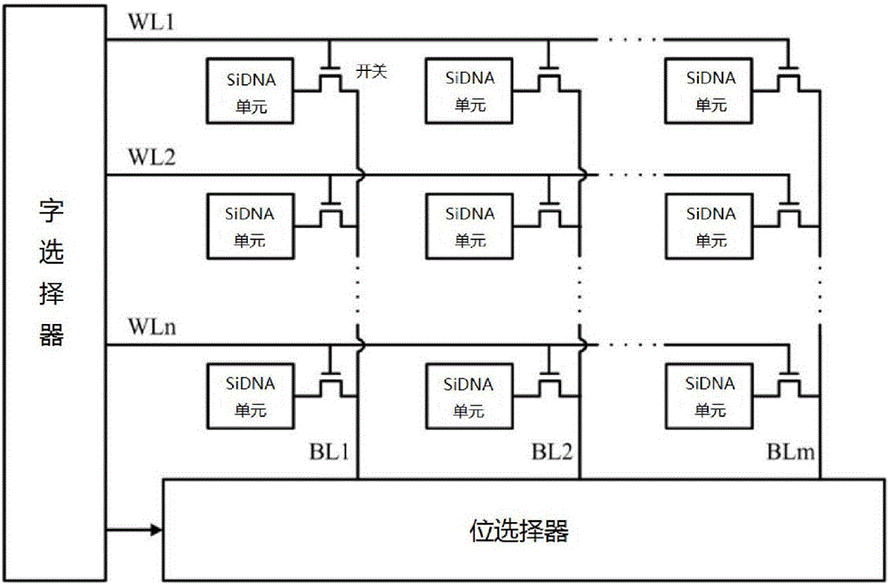 SiDNA序列生成及识别方法和装置与流程