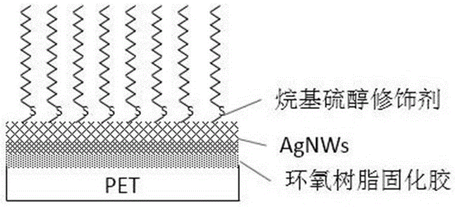 一种纳米金属线透明导电薄膜及其制备方法与流程