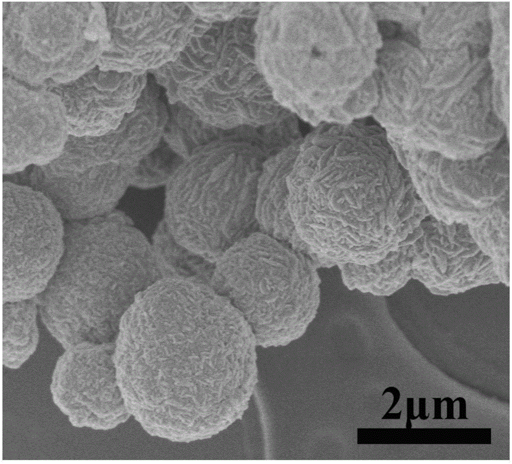 一种具有中空结构的铜钴硫微球电极材料的制备方法与流程