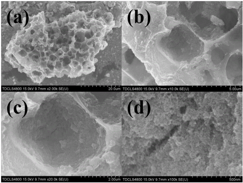 一种制备蜂窝碳上附着二氧化锡纳米颗粒的复合材料的方法与流程