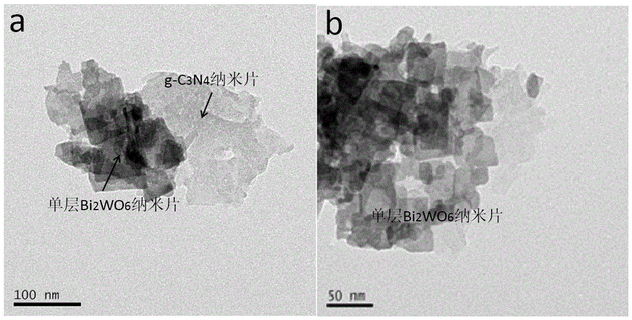 石墨相氮化碳纳米片负载单层钨酸铋纳米片异质结材料及其制备方法和应用与流程