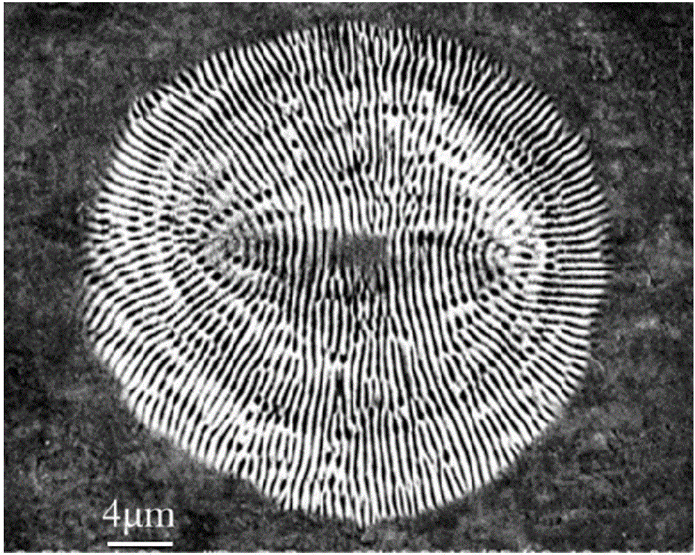 一种二维亚微米蝶形金属微结构的飞秒激光直写制备方法与流程