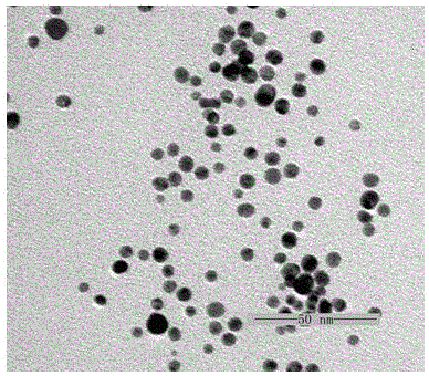 利用玉米胚芽油制備金納米粒子的方法與流程