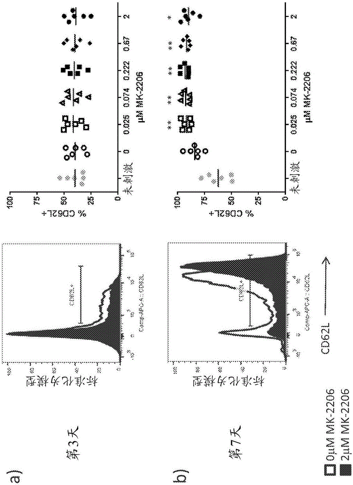 改善的T细胞组合物的制作方法与工艺