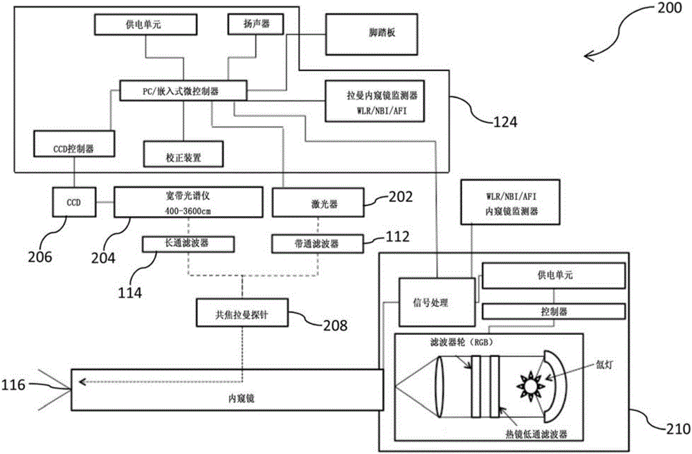 用于分析、表征和/或診斷如異常生長的樣本或組織的類型或性質(zhì)的拉曼光譜系統(tǒng)、裝置和方法與流程