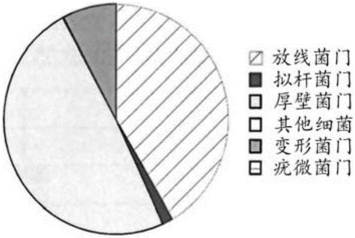 使用罗伊氏乳杆菌在生命早期恢复微生物群生态失调的制作方法与工艺