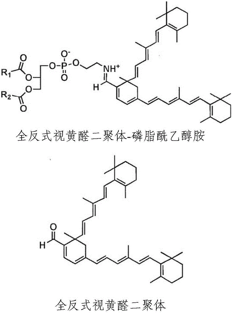 取代的4‑苯基哌啶及其制备和用途的制作方法与工艺