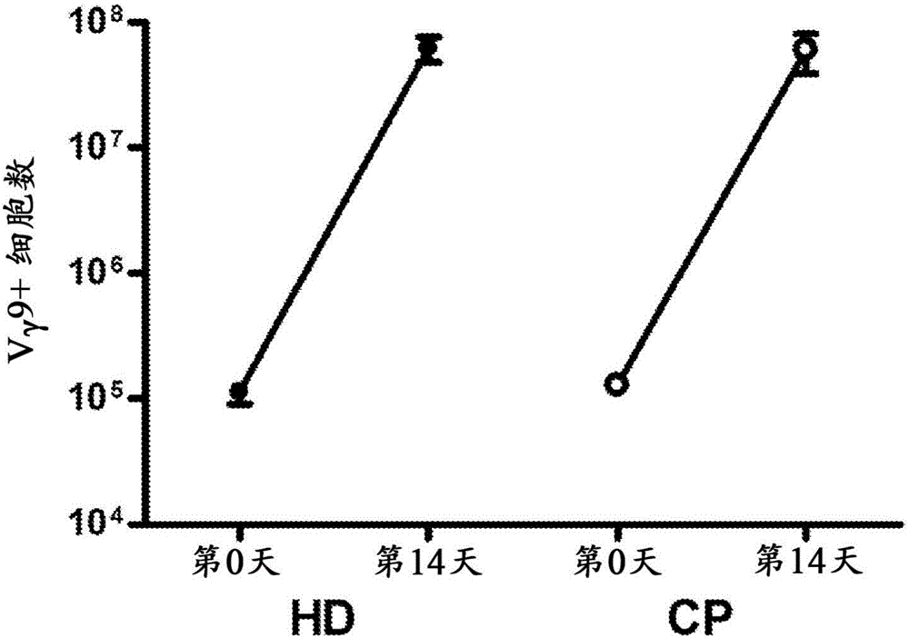 使用雙膦酸鹽、抗CD3抗體和IL?2擴增T細胞群體的制作方法與工藝