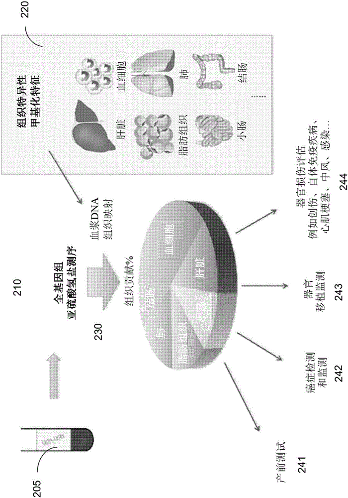 DNA混合物中的组织甲基化模式分析的制作方法与工艺