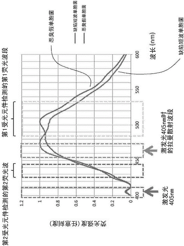 液中熒光檢測裝置以及液中熒光的檢測方法與流程