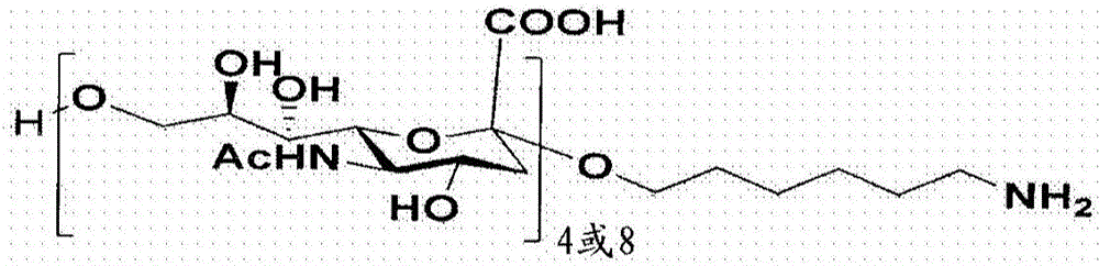 改進的綴合方法和由其獲得的新的合成的寡糖?蛋白質(zhì)綴合物與流程