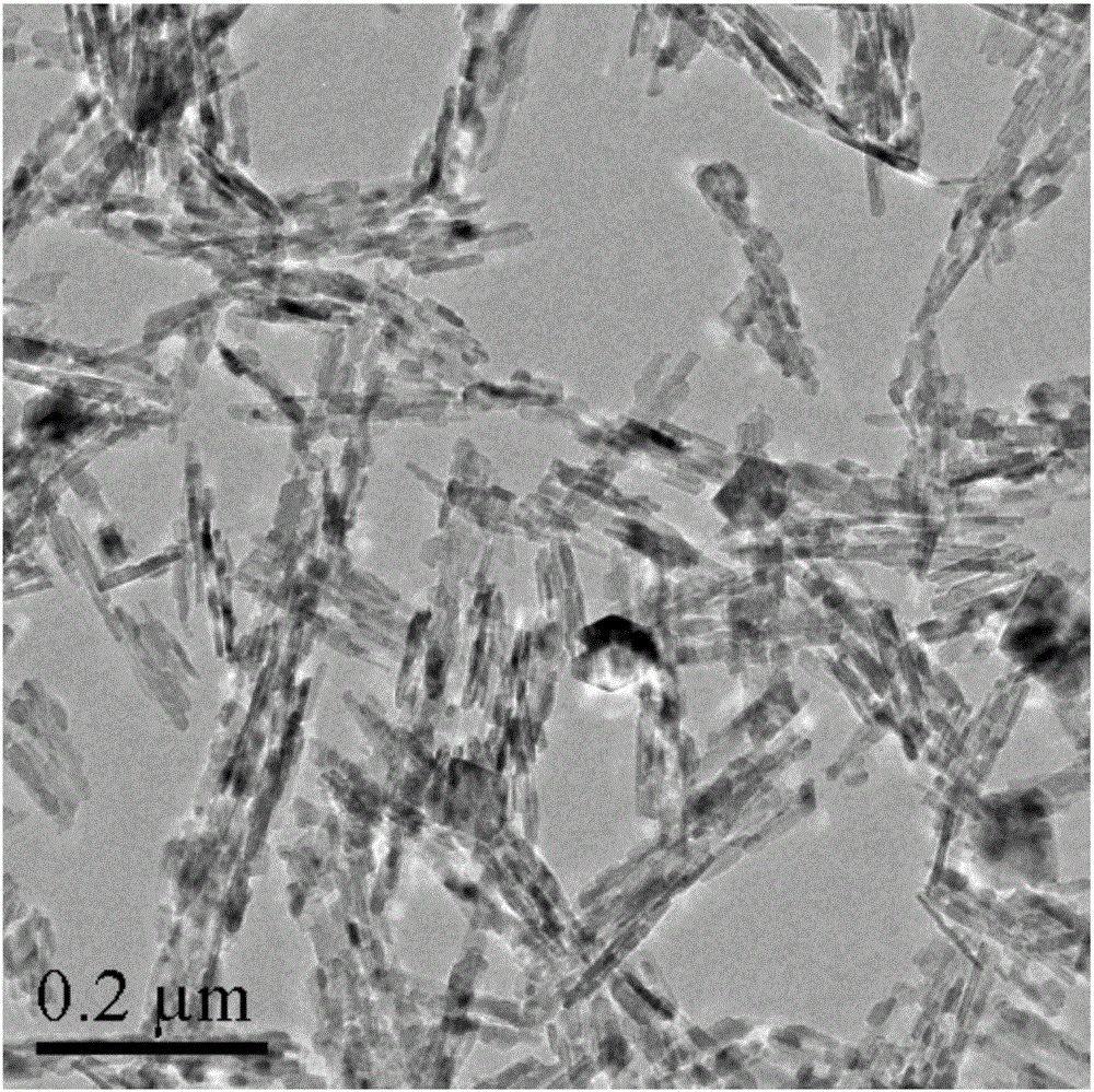 高比表面二氧化钛纳米棒及其制备方法与流程