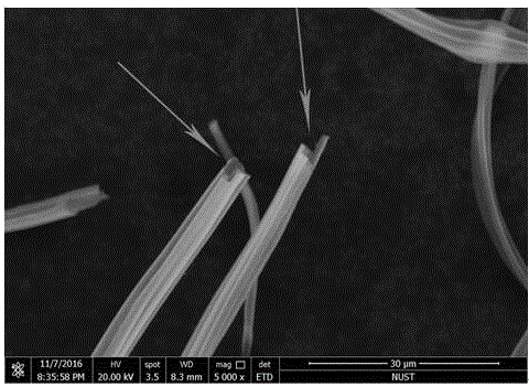 一种利用牛角瓜纤维获得中空氧化铝隔热纤维的方法与流程