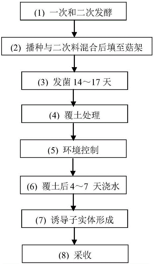 雙孢蘑菇高產(chǎn)覆土材料的配方及其制備和栽培方法與流程