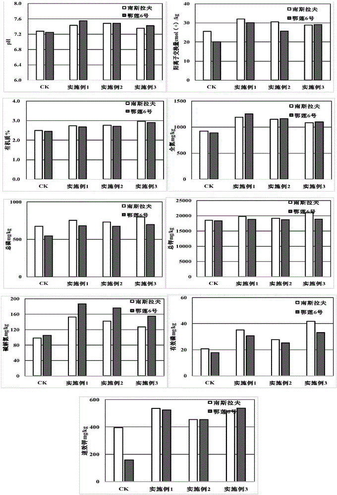 一种荷杆生物炭基肥料及其制备方法与流程