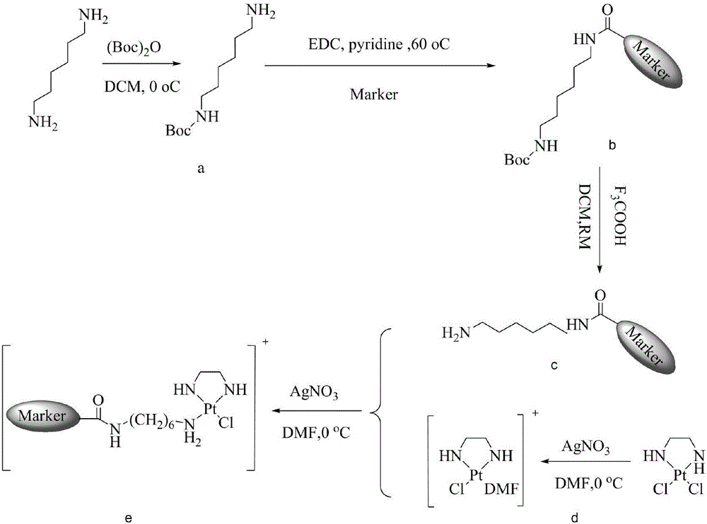 一種順鉑熒光配合物及其應用的制作方法與工藝