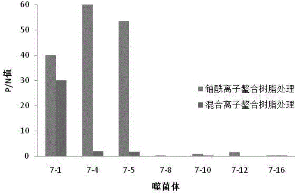 鈾酰離子結合七肽的制作方法與工藝