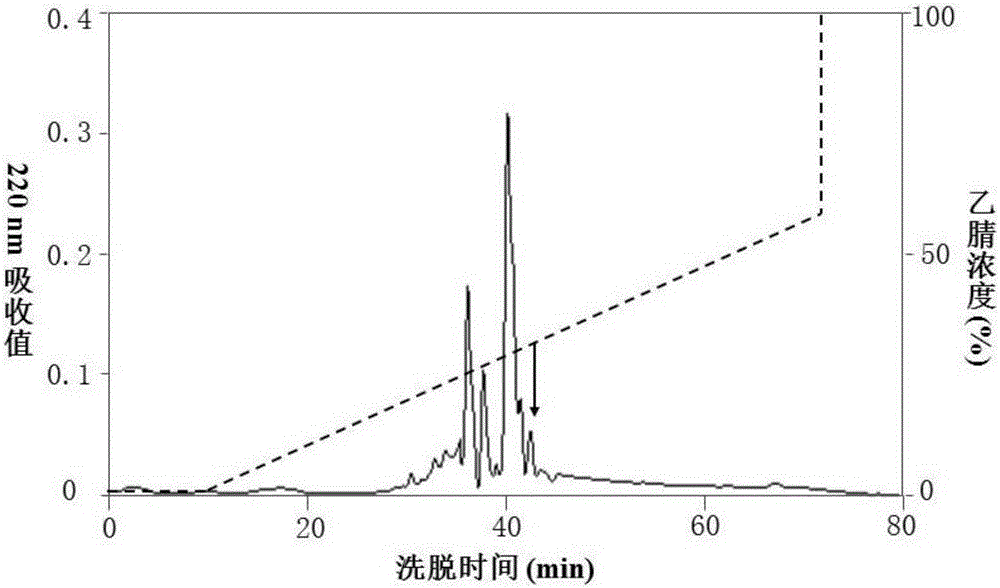 树蛙防御肽cathelicidin‑PP及其基因和应用的制作方法与工艺