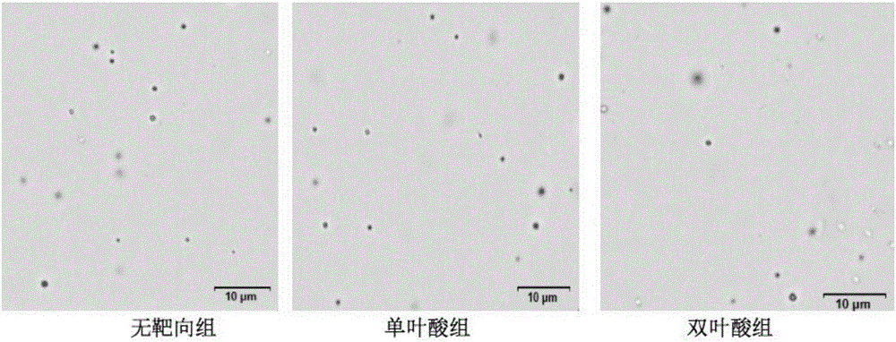 二硬脂酰基磷脂酰乙醇胺‑聚乙二醇2000‑双叶酸及其制备方法和应用与流程
