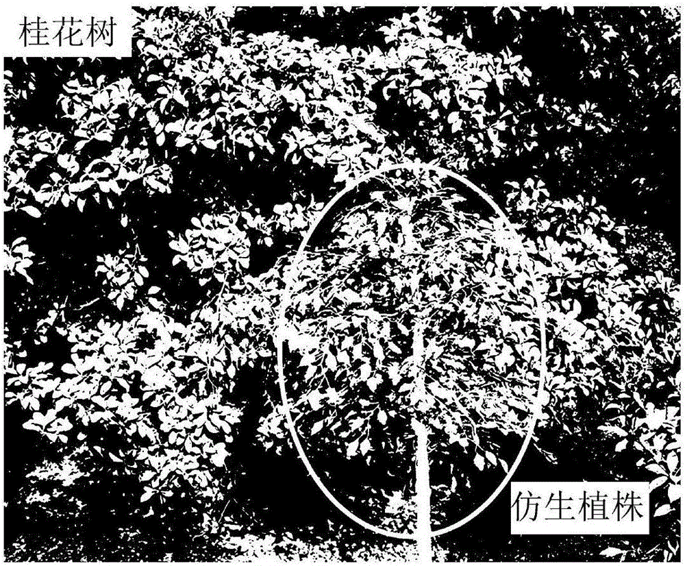 一种有机仿生材料及制备方法与流程