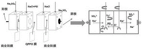 一種單價(jià)陰離子選擇性分離膜的制備方法與流程