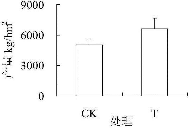 一种高产低镉饲用牧草栽培的方法与流程