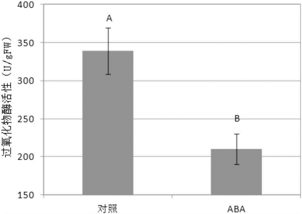 利用脱落酸控制荔枝果皮褐变的方法与流程