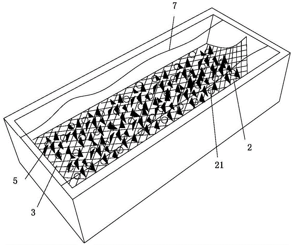 一种沙蚕生物饲料培养池的制作方法与工艺