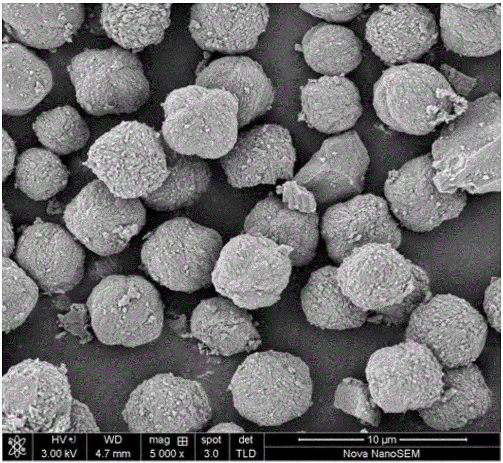 一种纳米多级孔ZSM‑11分子筛的合成方法与流程