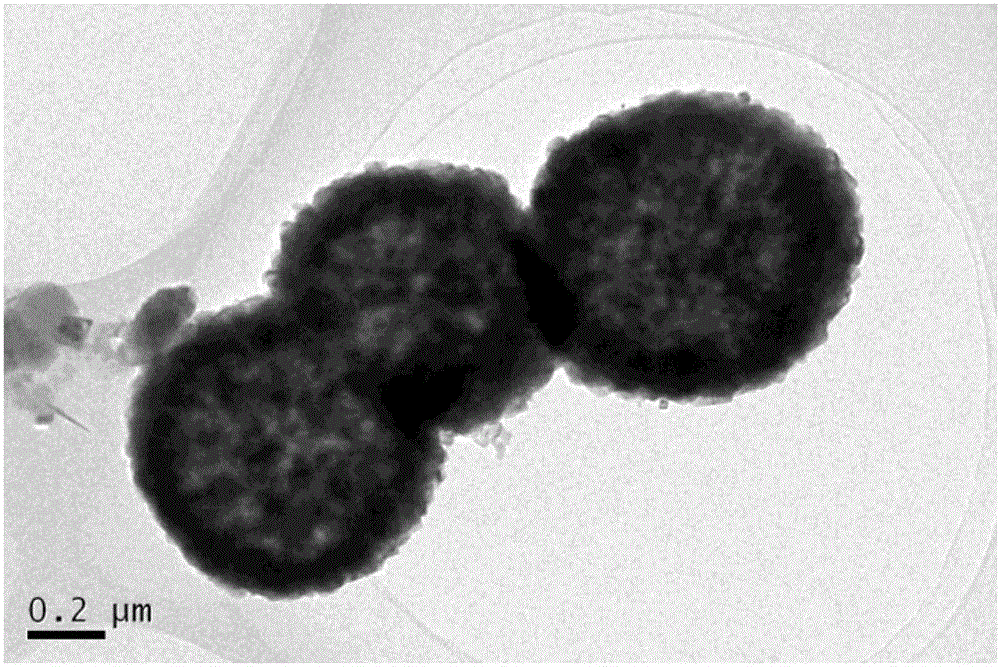 一种中空球形LiNi0.5Mn1.5O4高电压正极材料的熔盐制备方法与流程