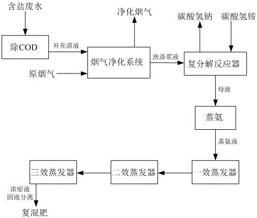 一種含鹽廢水的處理方法及用含鹽廢水制備氯化鈉、硫酸銨、復(fù)混肥的生產(chǎn)工藝與流程