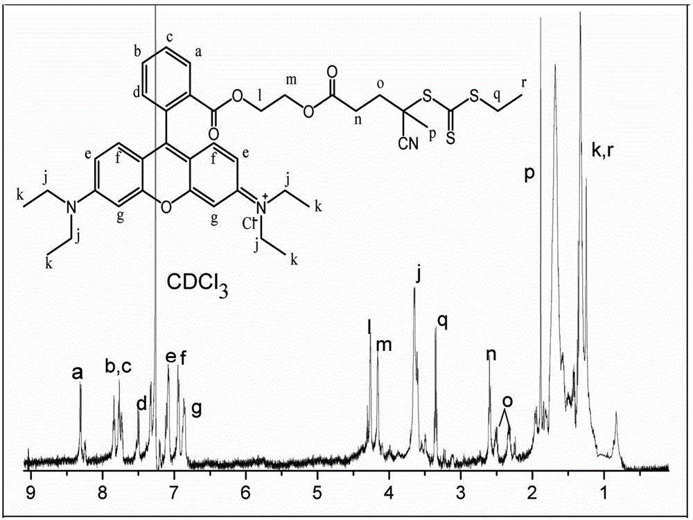 一种罗丹明B基RAFT试剂及制备方法以及基于此试剂制备荧光微球的方法与流程