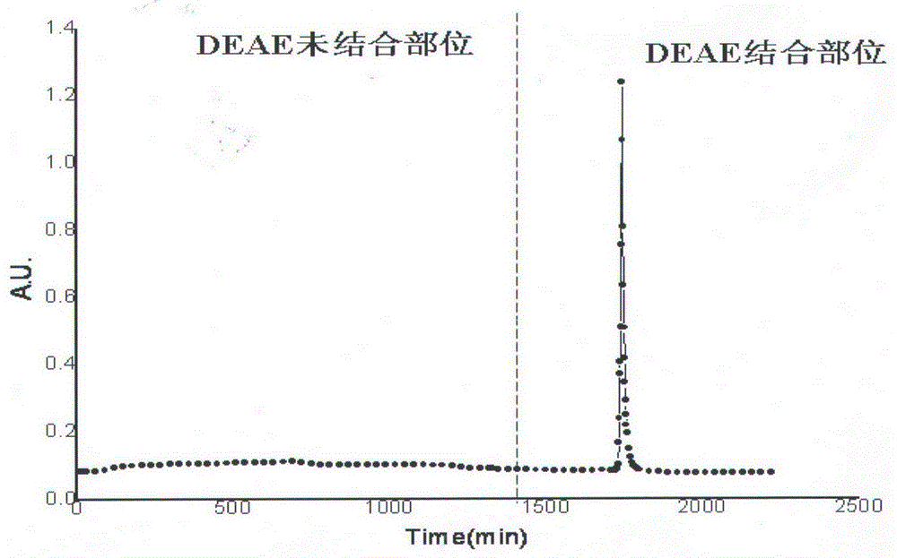 一種鷹嘴豆防御素的制備方法及其應(yīng)用與流程