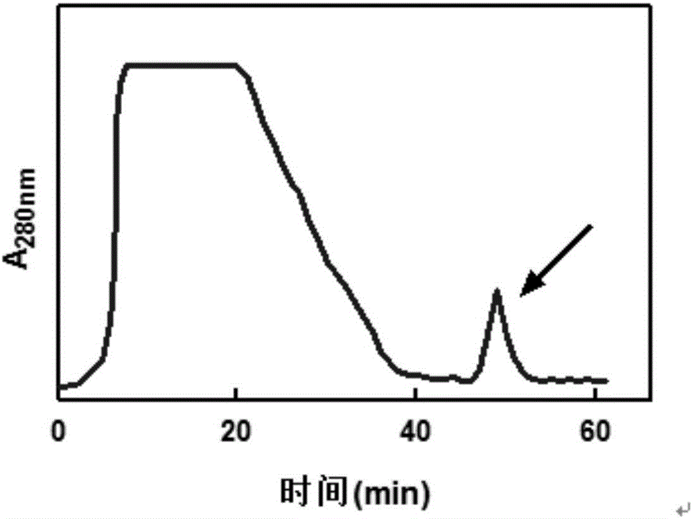 一种人尿液复合阳离子抗菌肽的制备方法与流程