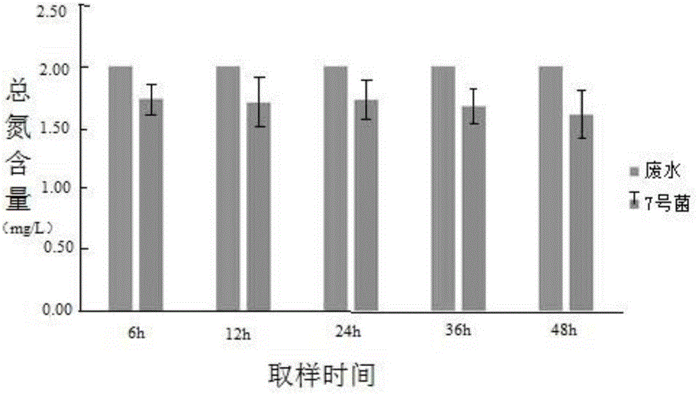 一种利用具有硝化功能的细菌净化海水养殖废水的方法与流程