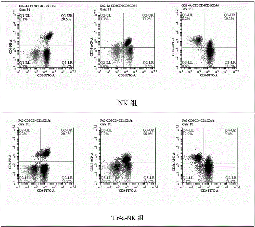 一种联合Tlr4和Tlr7激动剂共刺激扩增人NK细胞的方法与流程