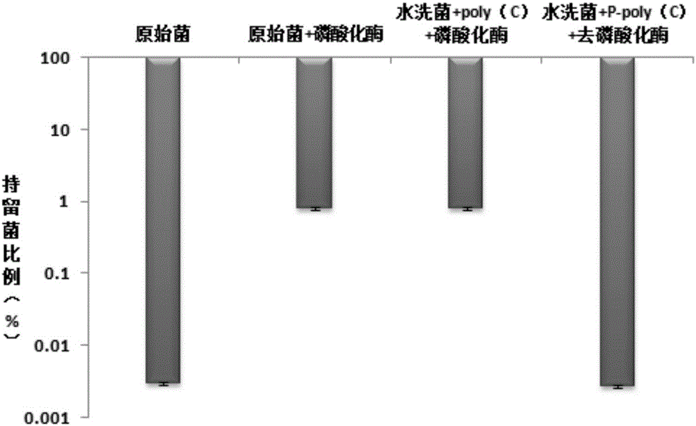 一種銅綠假單胞菌持留態(tài)細(xì)胞調(diào)控因子及其應(yīng)用的制作方法與工藝