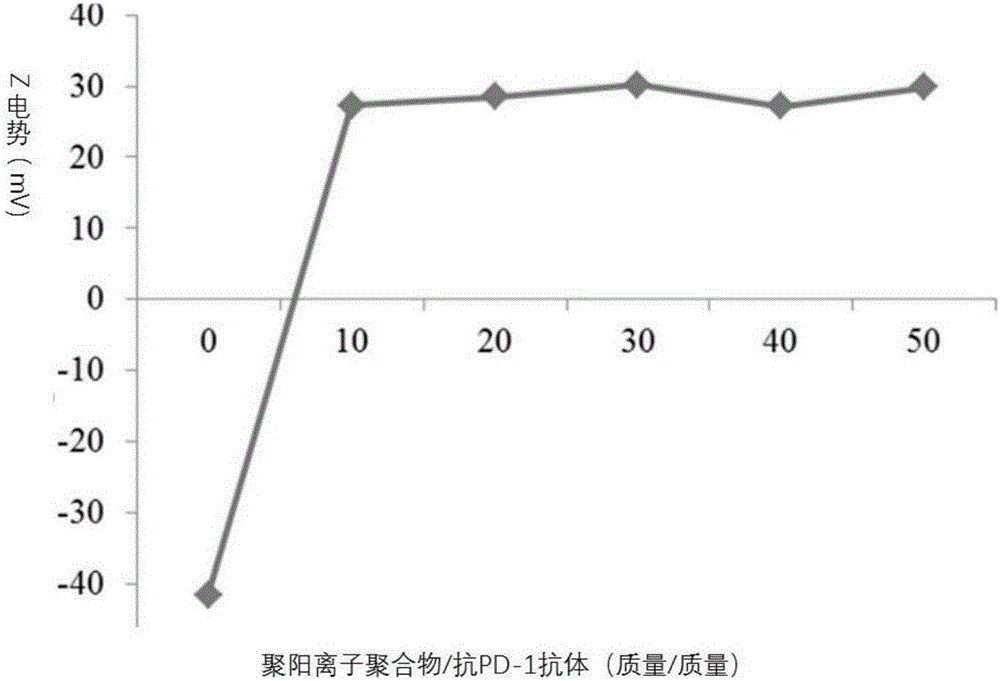 含抗PD?1基因和聚陽離子的復(fù)合物及其在治療腫瘤中的應(yīng)用的制作方法與工藝