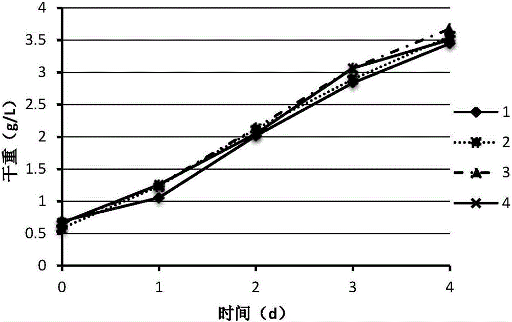 一種微藻生產(chǎn)油脂的方法與流程