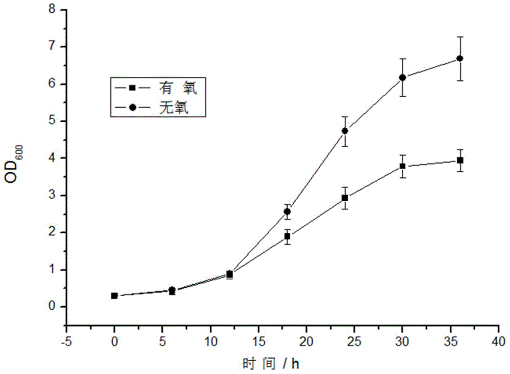 一種由干酪乳桿菌發(fā)酵制備胞外多糖的方法與流程