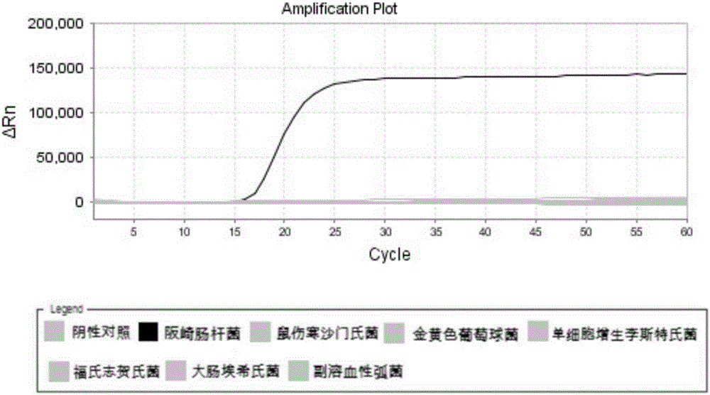 一种阪崎肠杆菌的LAMP引物组及试剂盒与使用方法与流程