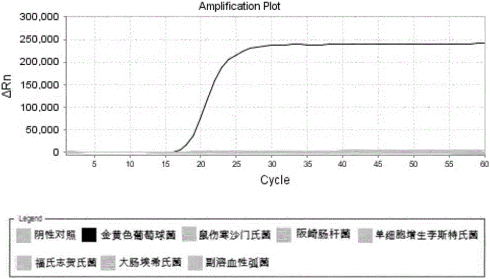 一種金黃色葡萄球菌的LAMP引物組及檢測試劑盒與使用方法與流程